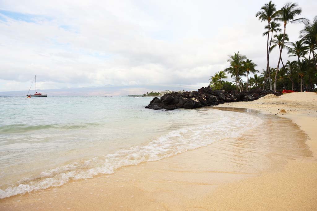 Foto, materieel, vrij, landschap, schilderstuk, bevoorraden foto,Een particulier strand, Zandstrand, Palm boom, Golf, Jacht