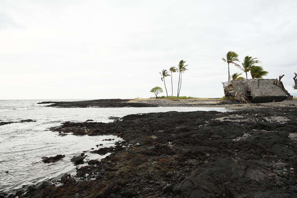 Foto, materiell, befreit, Landschaft, Bild, hat Foto auf Lager,Mauna Lani, Lava, Handflche, Welle, Machtstelle