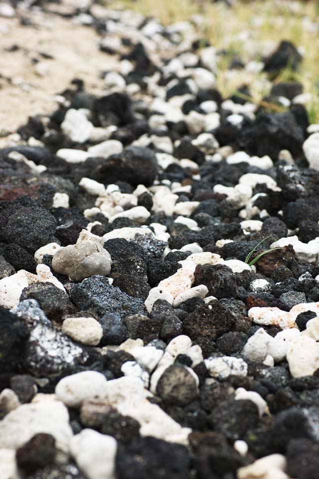 Foto, materieel, vrij, landschap, schilderstuk, bevoorraden foto,Blanke en de zwarte kustlijn, Lava, Palm, Golf, Zuidelijk land