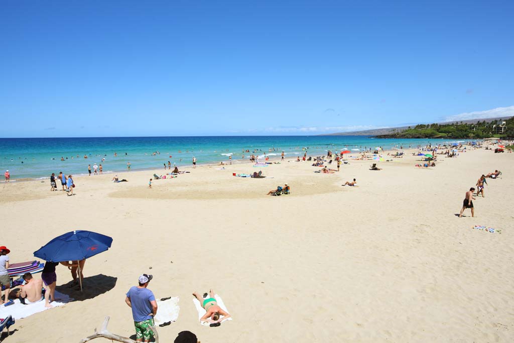 photo,material,free,landscape,picture,stock photo,Creative Commons,Hapuna Beach, blue sky, Sea bathing, Blue, beach umbrella