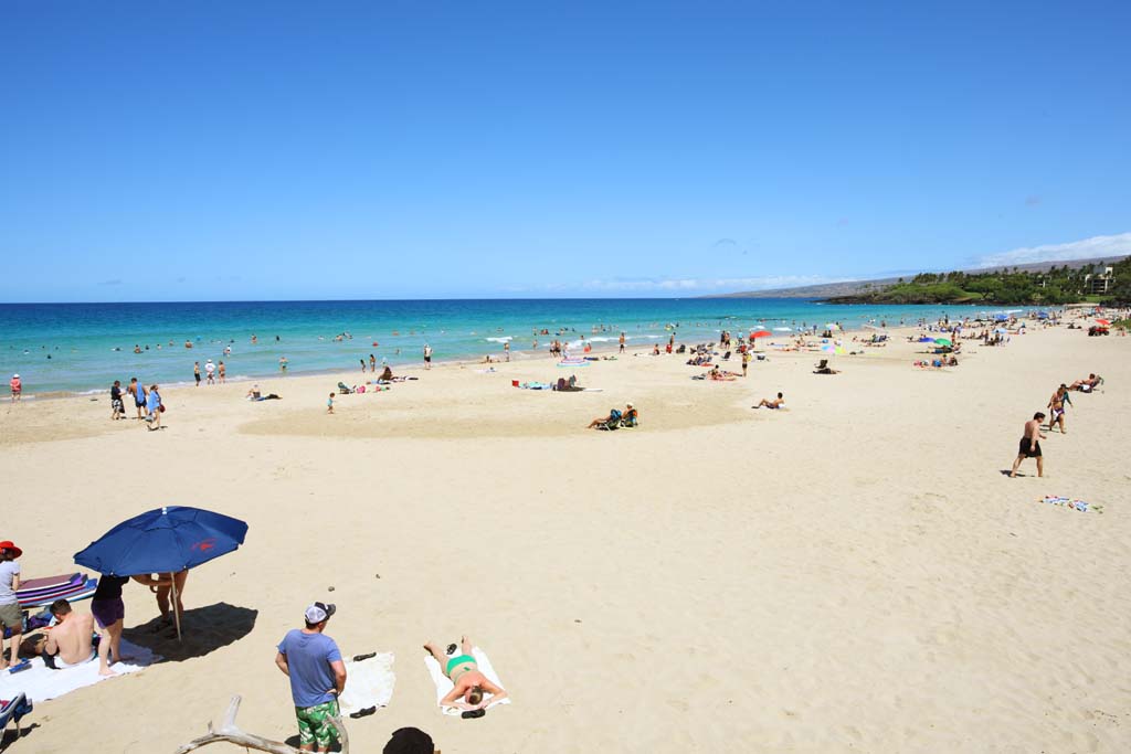 foto,tela,gratis,paisaje,fotografa,idea,Playa de Hapuna, Cielo azul, Bao de mar, Color azul, Sombrilla