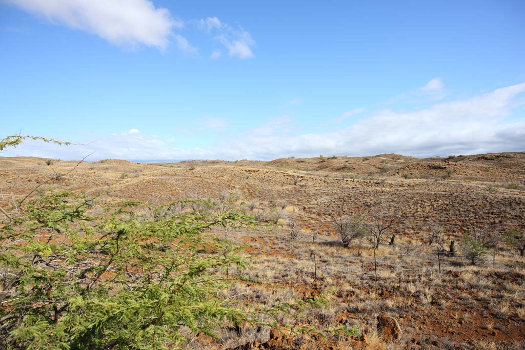 Foto, materieel, vrij, landschap, schilderstuk, bevoorraden foto,De aarde van de lava, Groen, Brown, Lava, Blauwe lucht
