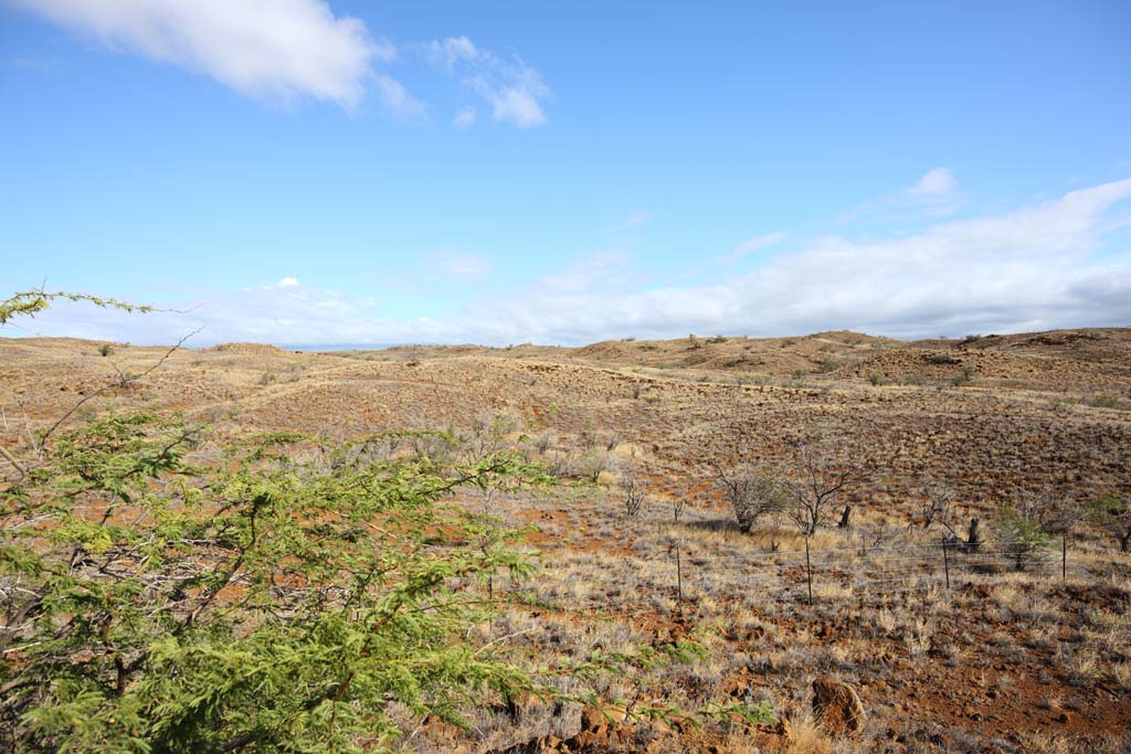 fotografia, material, livra, ajardine, imagine, proveja fotografia,A terra da lava, Green, Marrom, Lava, cu azul