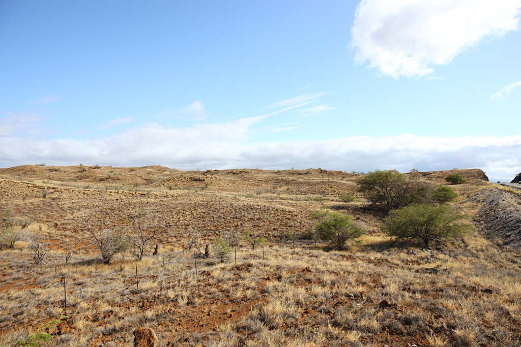 photo,material,free,landscape,picture,stock photo,Creative Commons,The earth of the lava, Green, Brown, Lava, blue sky