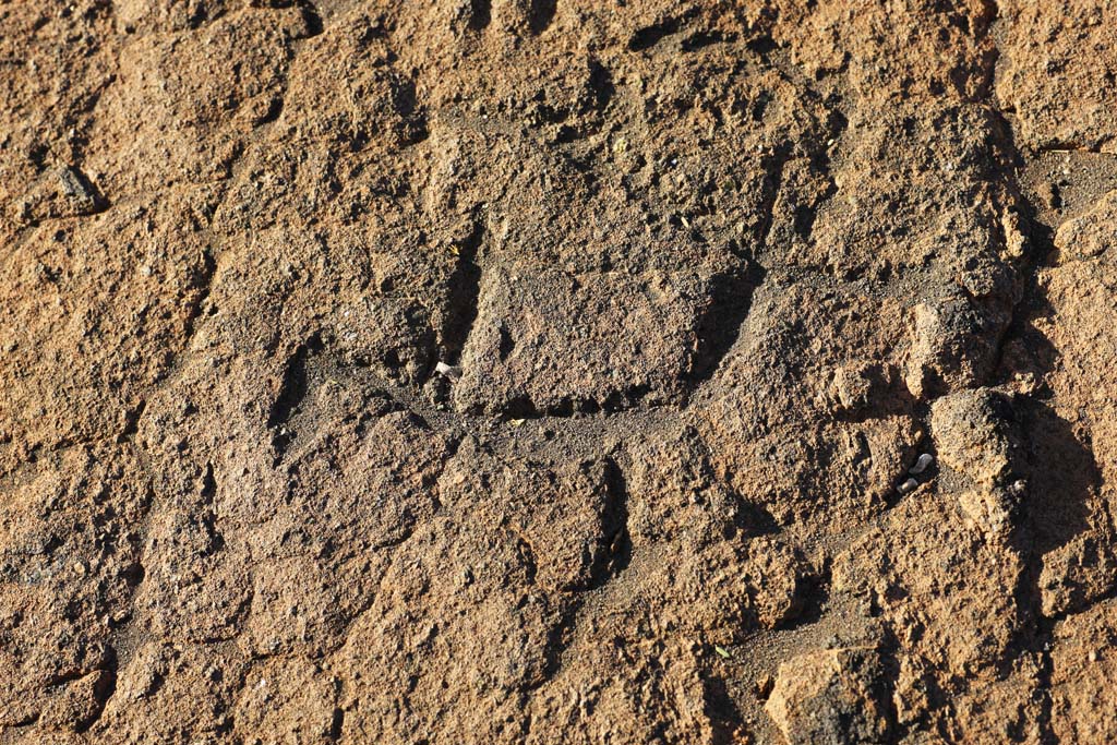 Foto, materiell, befreit, Landschaft, Bild, hat Foto auf Lager,Puako Petroglyph, Lava, Schlieen Sie Kunst ab, Petroglyph, kaha-kii