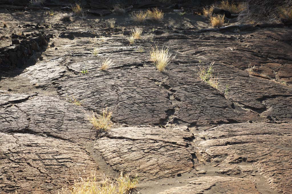 fotografia, material, livra, ajardine, imagine, proveja fotografia,Puako Petroglyph, Lava, Feche arte, Petroglyph, kaha-kii