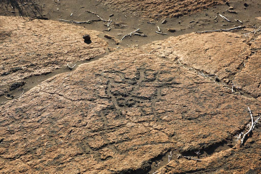 Foto, materiell, befreit, Landschaft, Bild, hat Foto auf Lager,Puako Petroglyph, Lava, Schlieen Sie Kunst ab, Petroglyph, kaha-kii