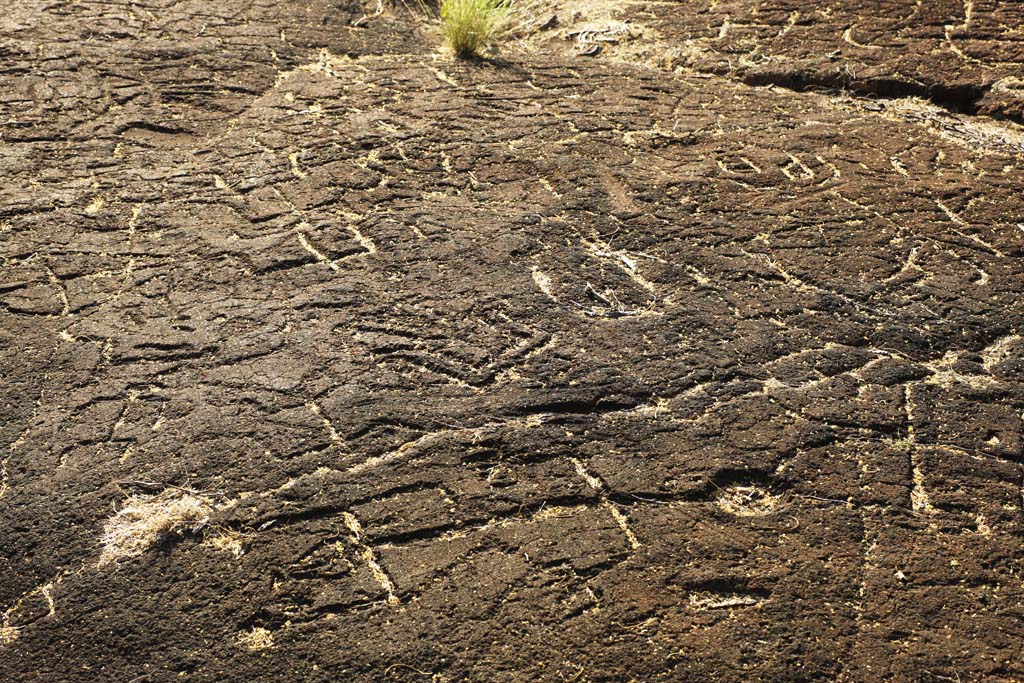 , , , , ,  .,Puako Petroglyph, ,  , Petroglyph, kaha-kii