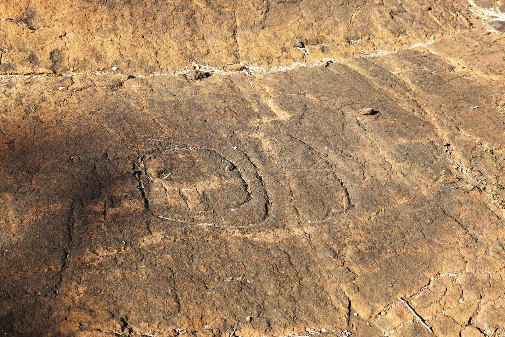 ,,, ,,,Petroglyph Puako., .,  ., Petroglyph., - kii kaha.