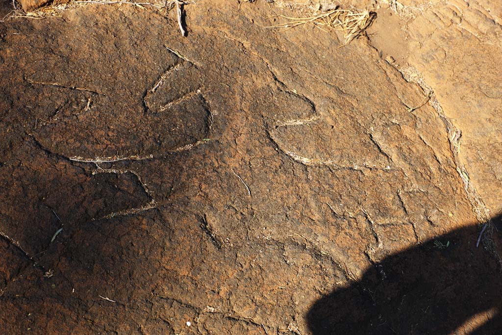 Foto, materieel, vrij, landschap, schilderstuk, bevoorraden foto,Puako Petroglyph, Lava, Sluit kunst, Petroglyph, Kaha-kii