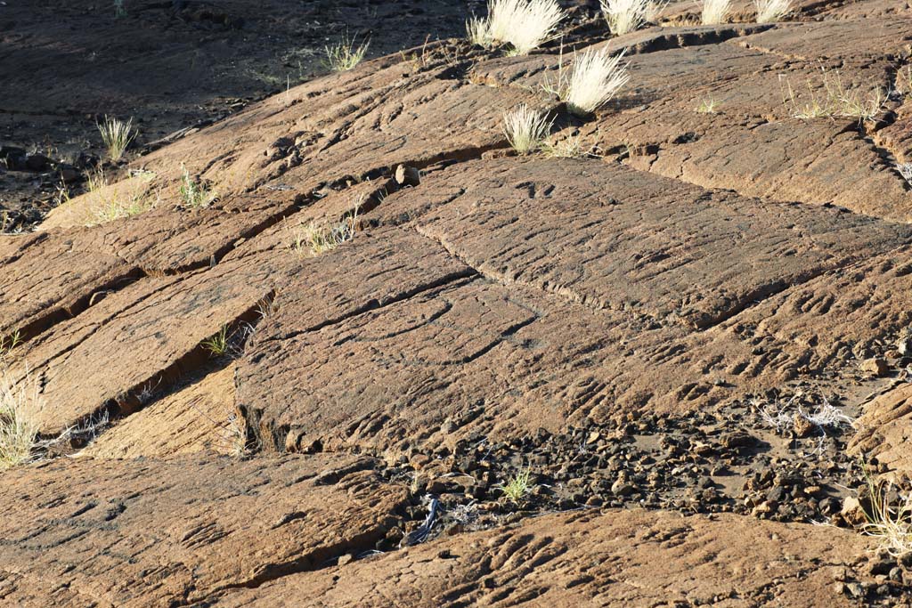 photo, la matire, libre, amnage, dcrivez, photo de la rserve,Puako Petroglyph, Lave, Fermez  cl l'art, Petroglyph, kaha-kii