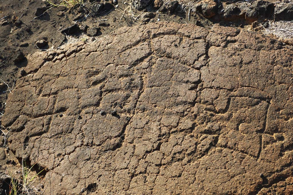 Foto, materiell, befreit, Landschaft, Bild, hat Foto auf Lager,Puako Petroglyph, Lava, Schlieen Sie Kunst ab, Petroglyph, kaha-kii