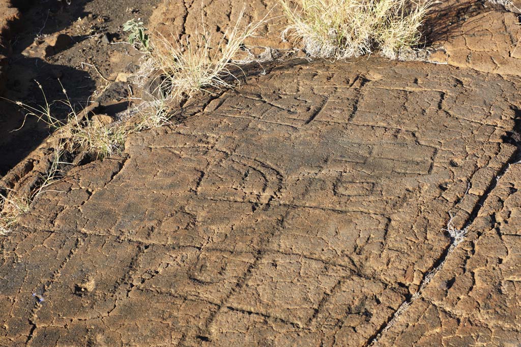 fotografia, material, livra, ajardine, imagine, proveja fotografia,Puako Petroglyph, Lava, Feche arte, Petroglyph, kaha-kii