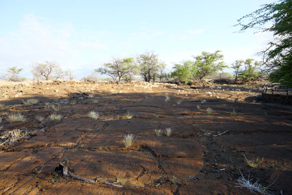 fotografia, materiale, libero il panorama, dipinga, fotografia di scorta,Puako Petroglyph, Lavico, Chiuda arte a chiave, Petroglyph, kaha-kii