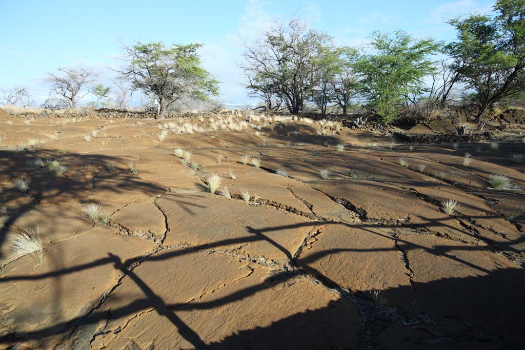 Foto, materiell, befreit, Landschaft, Bild, hat Foto auf Lager,Puako Petroglyph, Lava, Schlieen Sie Kunst ab, Petroglyph, kaha-kii