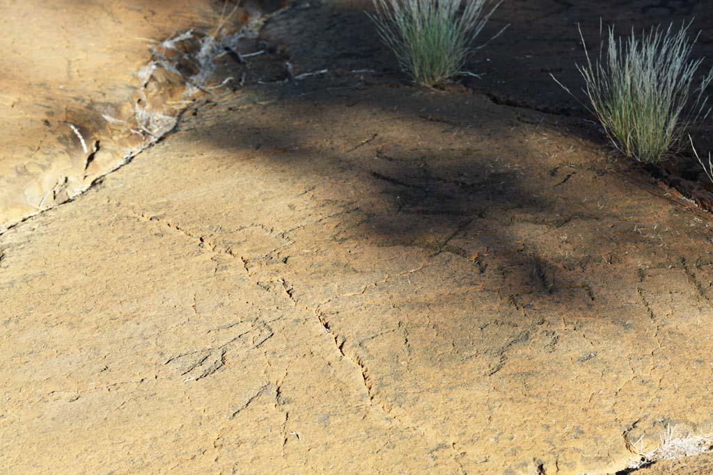 Foto, materieel, vrij, landschap, schilderstuk, bevoorraden foto,Puako Petroglyph, Lava, Sluit kunst, Petroglyph, Kaha-kii