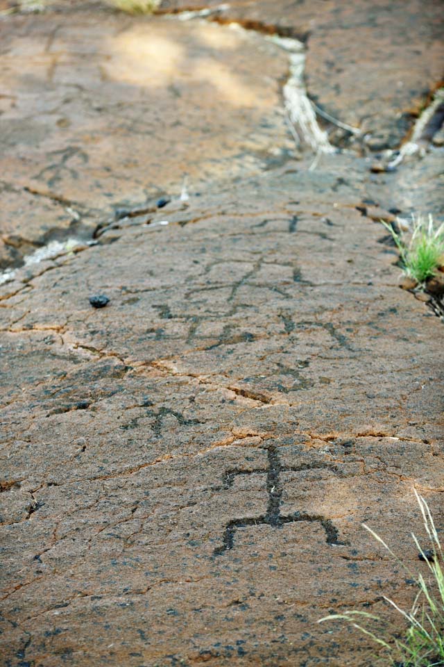 fotografia, material, livra, ajardine, imagine, proveja fotografia,Puako Petroglyph, Lava, Feche arte, Petroglyph, kaha-kii