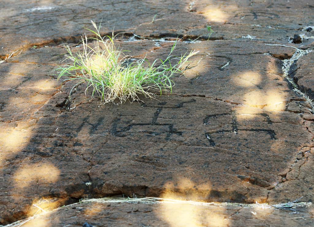 Foto, materiell, befreit, Landschaft, Bild, hat Foto auf Lager,Puako Petroglyph, Lava, Schlieen Sie Kunst ab, Petroglyph, kaha-kii