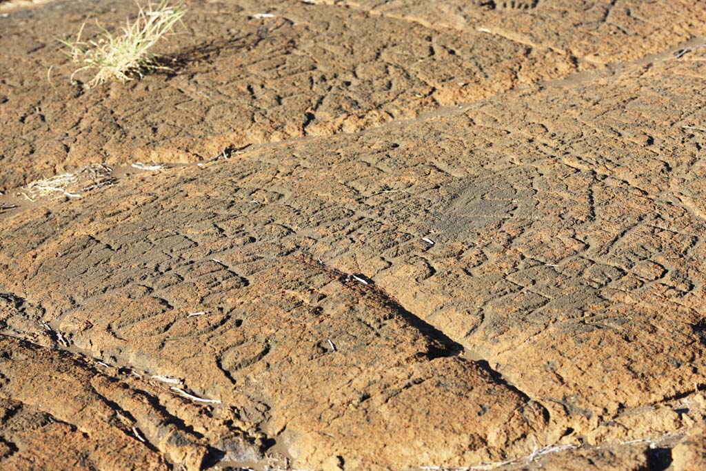 Foto, materieel, vrij, landschap, schilderstuk, bevoorraden foto,Puako Petroglyph, Lava, Sluit kunst, Petroglyph, Kaha-kii