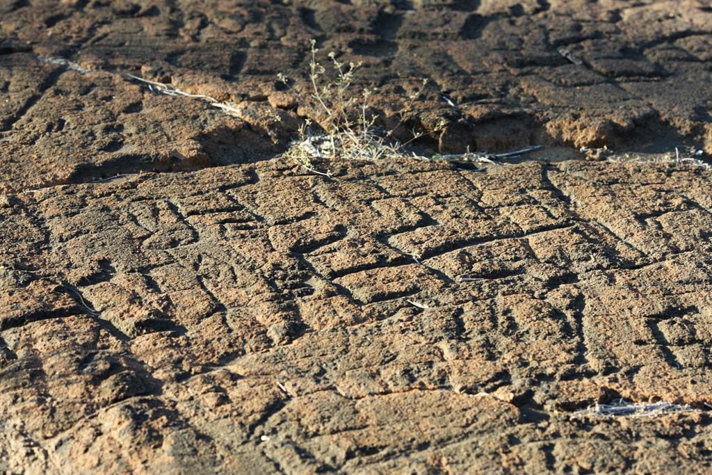 Foto, materiell, befreit, Landschaft, Bild, hat Foto auf Lager,Puako Petroglyph, Lava, Schlieen Sie Kunst ab, Petroglyph, kaha-kii