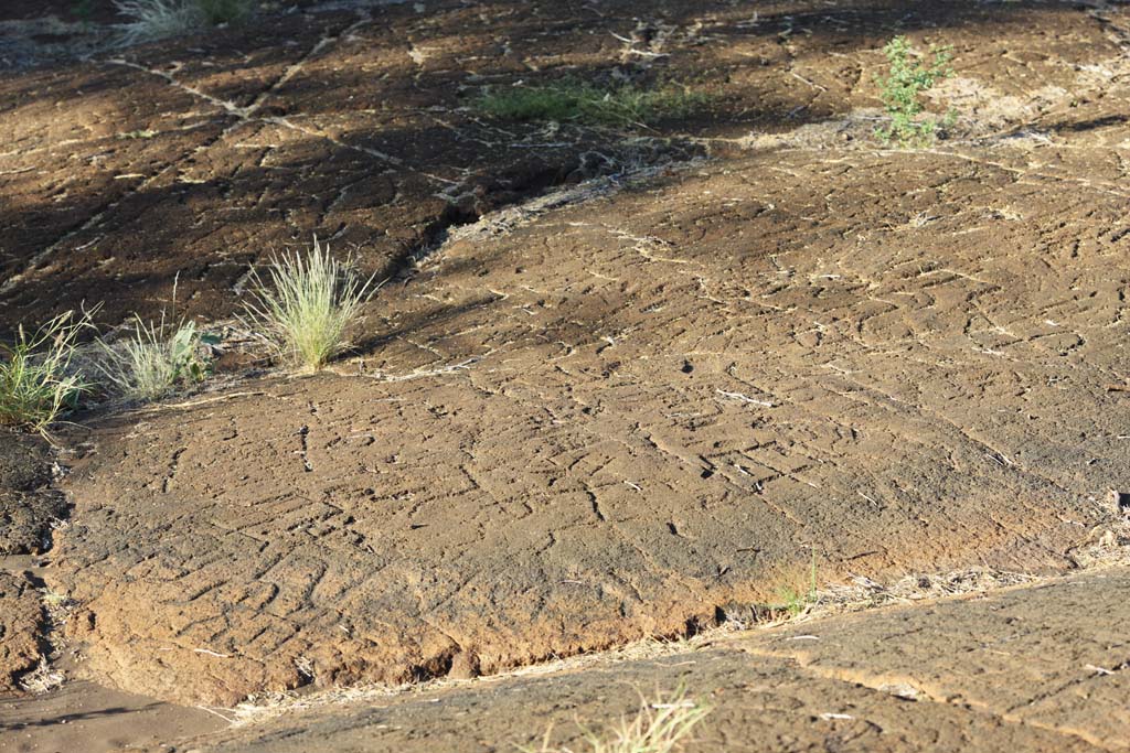 Foto, materiell, befreit, Landschaft, Bild, hat Foto auf Lager,Puako Petroglyph, Lava, Schlieen Sie Kunst ab, Petroglyph, kaha-kii