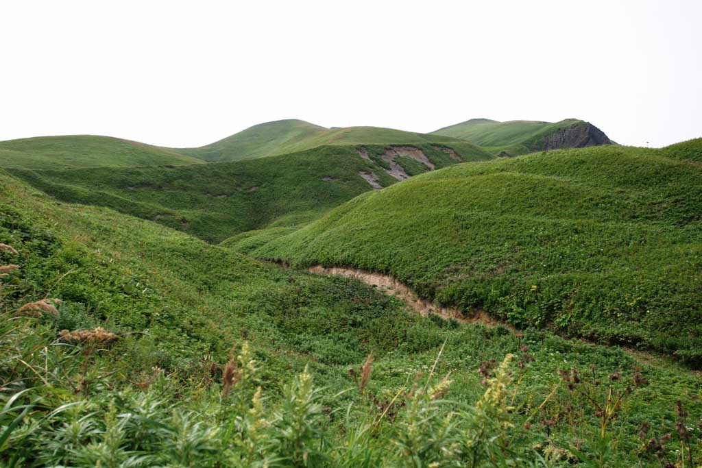 photo, la matire, libre, amnage, dcrivez, photo de la rserve,Place accidente dans la grande nature, cte, colline, ciel, prairie