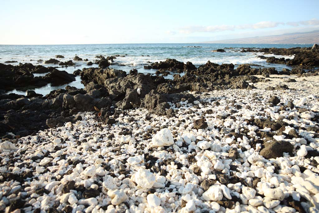 fotografia, materiale, libero il panorama, dipinga, fotografia di scorta,Bianco e la spiaggia nera, Lavico, Corallo, onda, paese meridionale