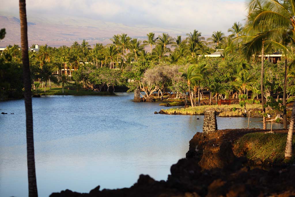 Foto, materiell, befreit, Landschaft, Bild, hat Foto auf Lager,MaunaLani angelt Pfund, Lava, Ein Altar, Teich, Fischereizone