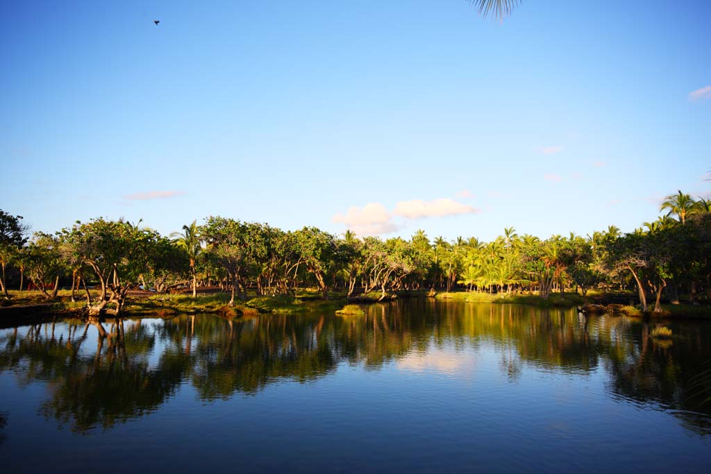 Foto, materieel, vrij, landschap, schilderstuk, bevoorraden foto,Drijf stip Maunalani aan, Lava, Een altaar, Waterplas, Visserij