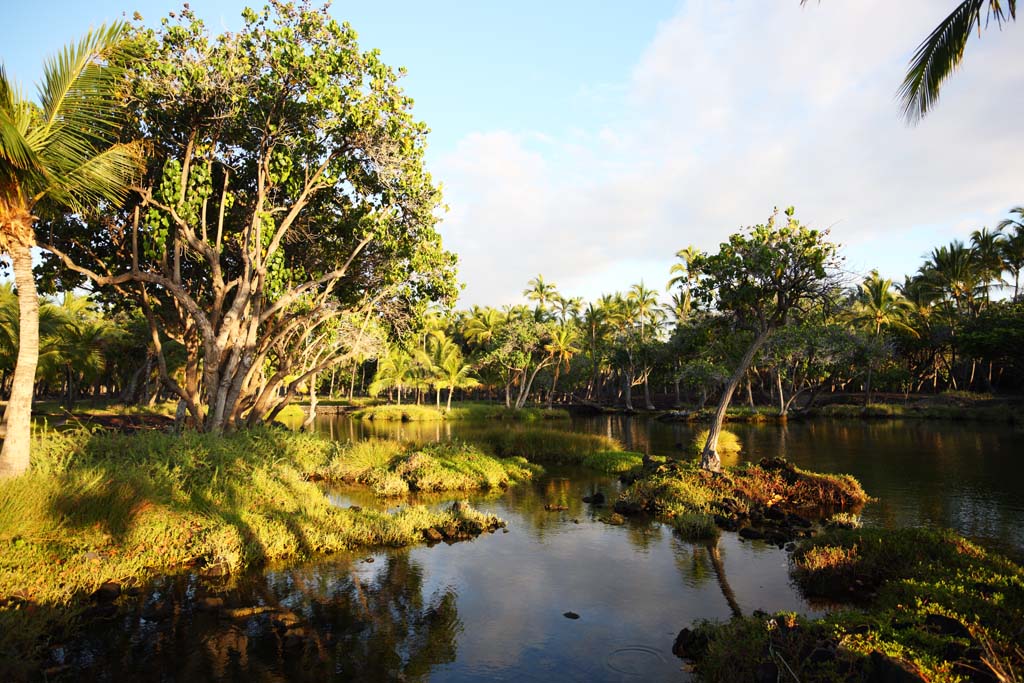 Foto, materieel, vrij, landschap, schilderstuk, bevoorraden foto,Maunalani vis fijnstampen, Lava, Een altaar, Waterplas, Visserij