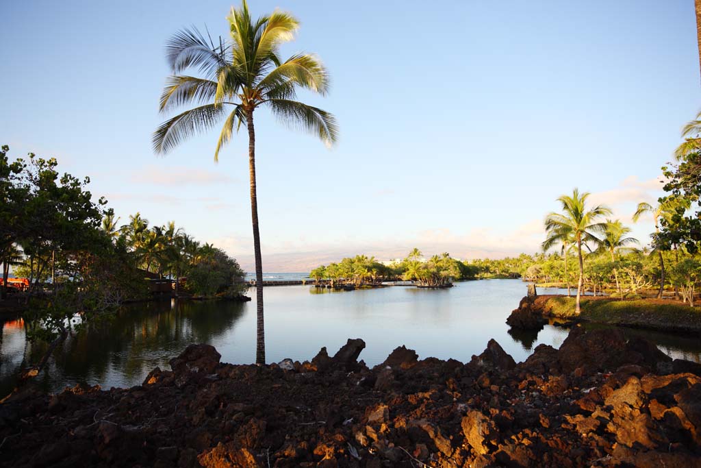 Foto, materieel, vrij, landschap, schilderstuk, bevoorraden foto,Maunalani vis fijnstampen, Lava, Een altaar, Waterplas, Visserij