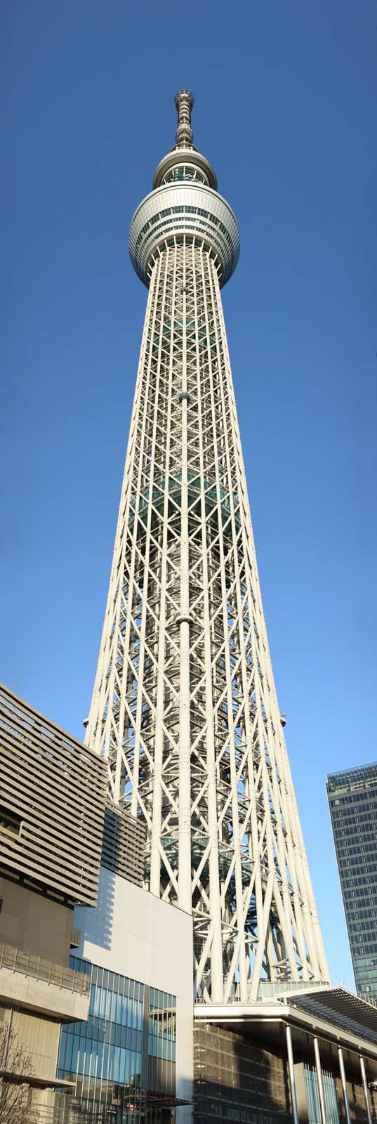 fotografia, materiale, libero il panorama, dipinga, fotografia di scorta,Guardi su all'albero di cielo, Una torre di onda elettrica, facendo il turista macchia, torre, cielo blu