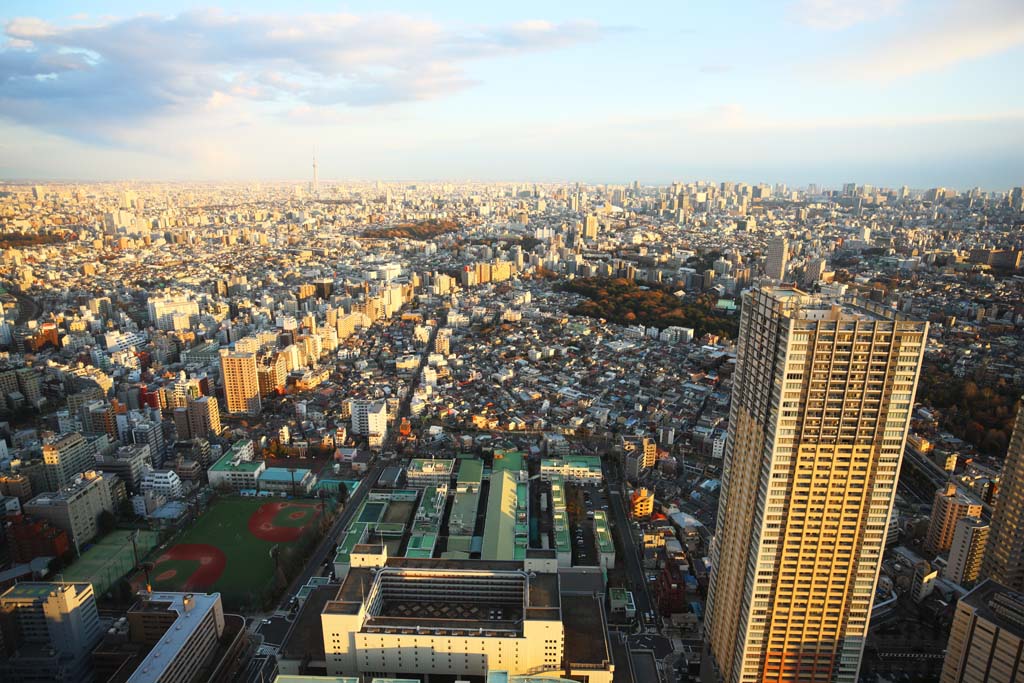 Foto, materiell, befreit, Landschaft, Bild, hat Foto auf Lager,Tokyo-Rundblick, Gebude, Himmelsbaum, , 