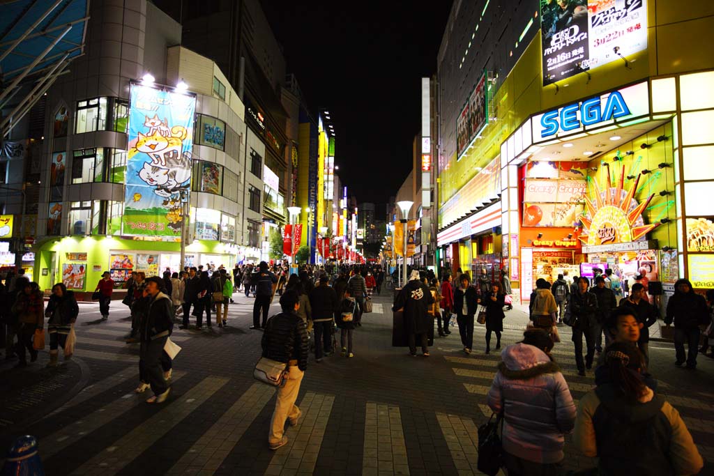 fotografia, materiale, libero il panorama, dipinga, fotografia di scorta,Il centro di Ikebukuro, negozio, Neon, lampione, acquirente