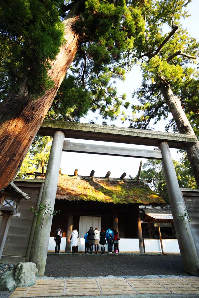 fotografia, material, livra, ajardine, imagine, proveja fotografia,Toyoke Santurio Principal a Ise (Geku) mais santurio, Ise se rende, Ise, torii, Comida sagrada Deus importante