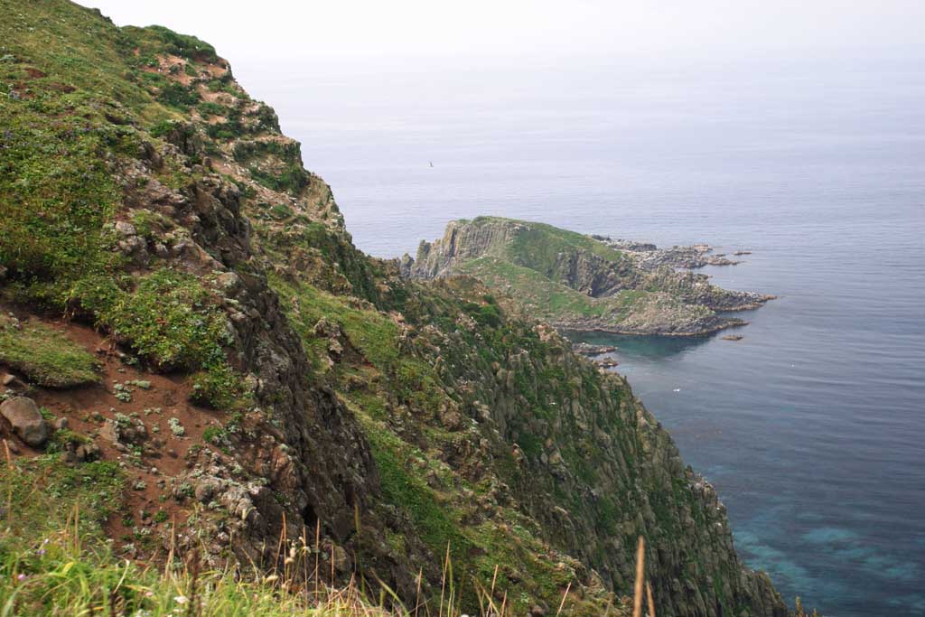 fotografia, materiale, libero il panorama, dipinga, fotografia di scorta,I nidi di Seafowls, costa, uccello, il nido di uccello, mare