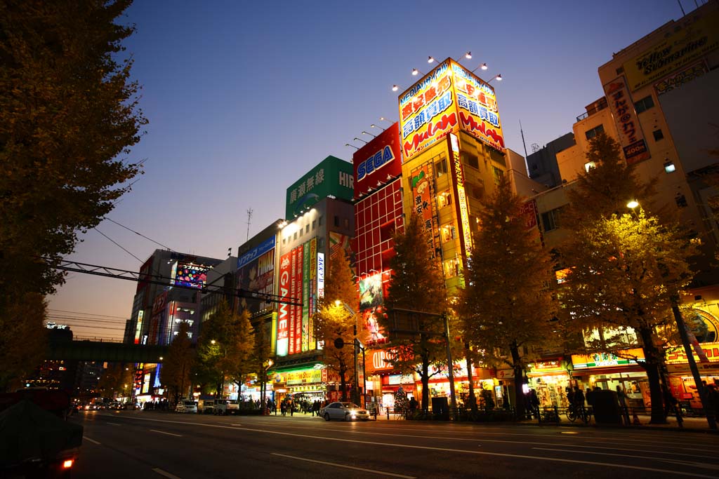 photo,material,free,landscape,picture,stock photo,Creative Commons,Akihabara, An electric town, geek, Neon, Soubu Line