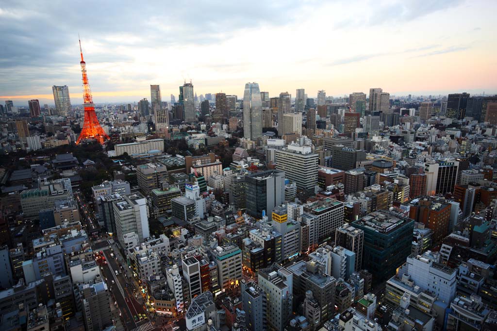 foto,tela,gratis,paisaje,fotografa,idea,Vista de noche de Tokio, Edificio, La rea del centro de la ciudad, Tokyo Tower, Toranomon