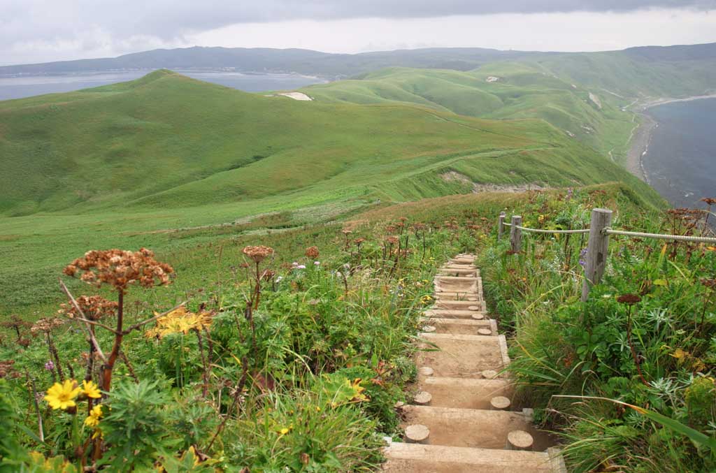 photo, la matire, libre, amnage, dcrivez, photo de la rserve,Piste de la nature, cte, nuage, ciel, trottoir