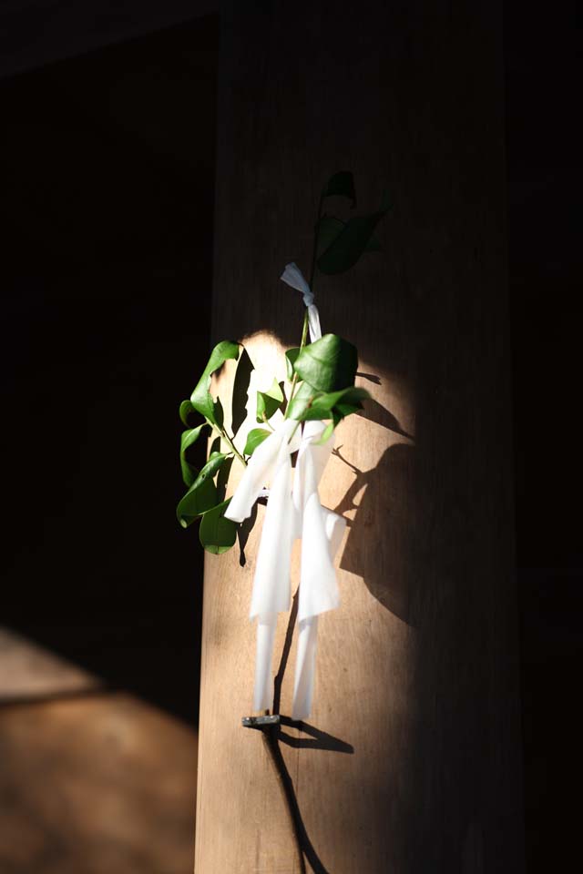 Foto, materiell, befreit, Landschaft, Bild, hat Foto auf Lager,Toyoke Grand Shrine bei Ise (Geku) Sakaki, Ise gibt auf, Ise, torii, Heiliges Essenskapital Gott