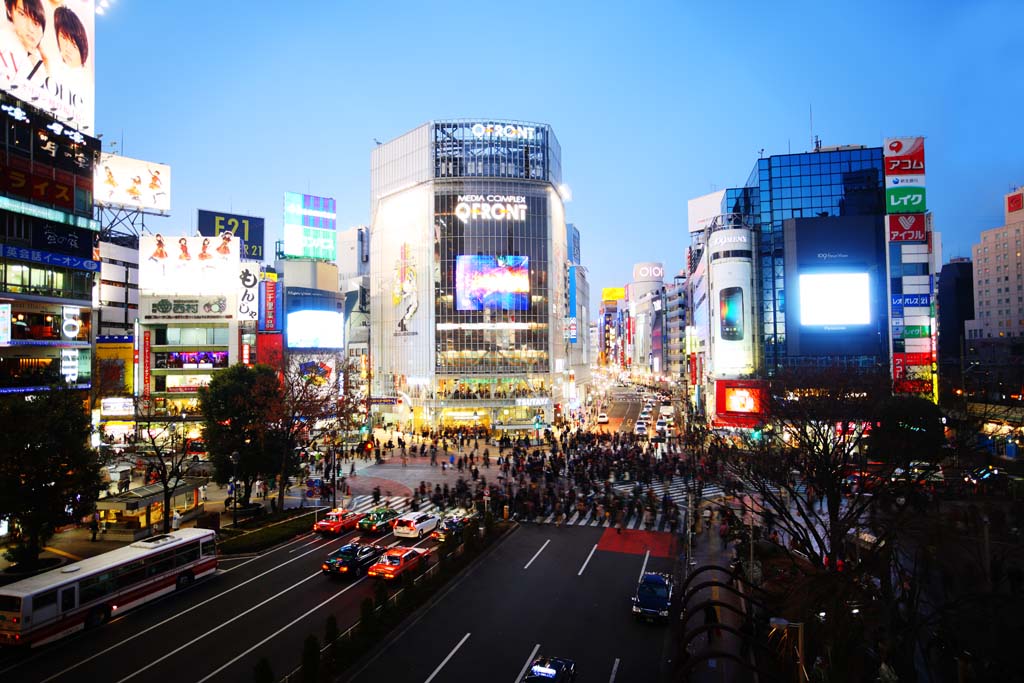 fotografia, materiale, libero il panorama, dipinga, fotografia di scorta,Shibuya intersecazione gratis, folla, pedone, autobus, Neon