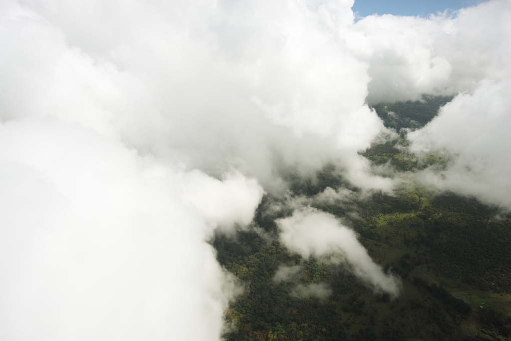 fotografia, materiale, libero il panorama, dipinga, fotografia di scorta,Isola di Hawaii fotografia aerea, nube, foresta, erboso chiaramente, 