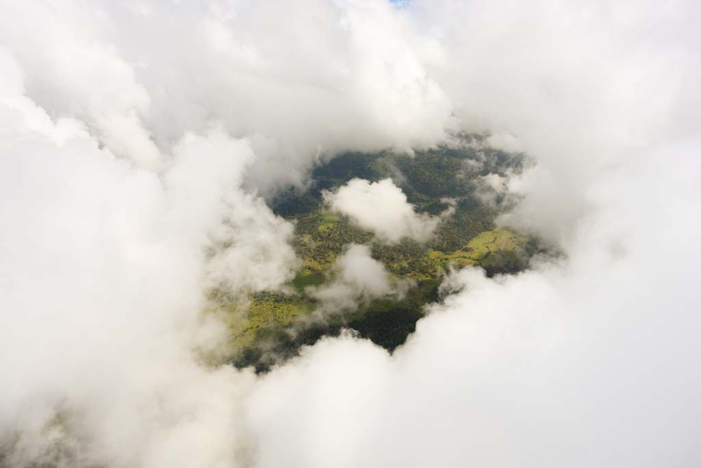 foto,tela,gratis,paisaje,fotografa,idea,Aerofotografa de Hawaii, Nube, Bosque, Llanura cubierta de hierba, Aeropuerto