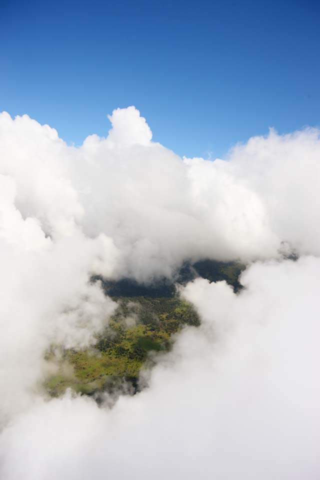 Foto, materieel, vrij, landschap, schilderstuk, bevoorraden foto,Hawaii Eiland luchtfotografie, Wolk, Woud, Grassig duidelijk, 