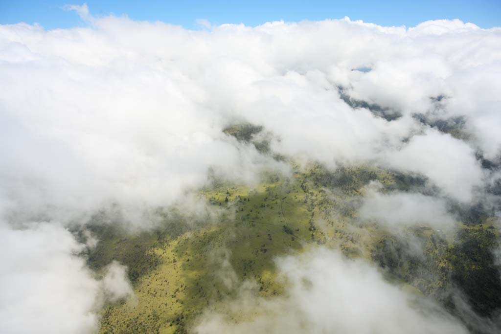 foto,tela,gratis,paisaje,fotografa,idea,Aerofotografa de Hawaii, Nube, Bosque, Llanura cubierta de hierba, Aeropuerto