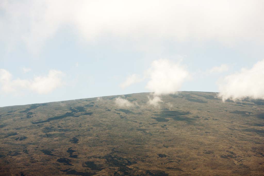 Foto, materieel, vrij, landschap, schilderstuk, bevoorraden foto,Hawaii Island Mauna Loa, Lava, Dode boom, Krak in ht gemaald, Woestijn