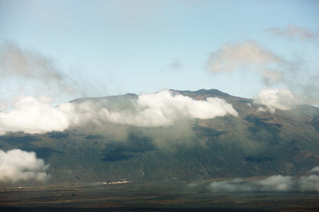 Foto, materiell, befreit, Landschaft, Bild, hat Foto auf Lager,Hawaii-Insel therische Fotografie, Lava, toter Baum, Riss im Boden, Wste