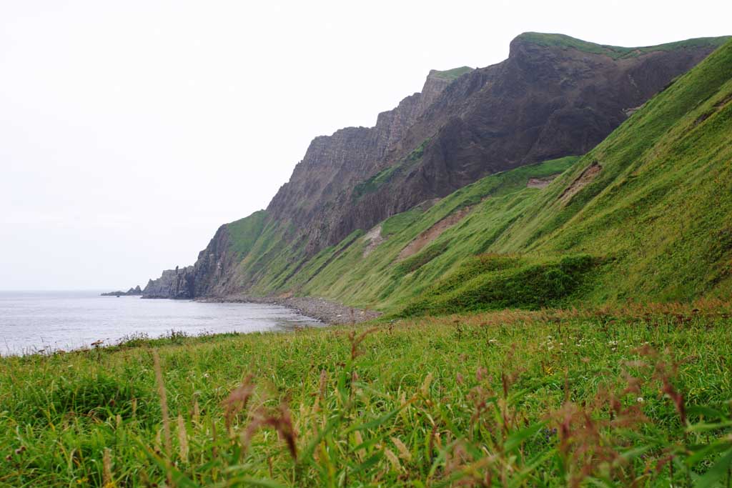 Foto, materieel, vrij, landschap, schilderstuk, bevoorraden foto,Afgrond, Kust, Klif, Lucht, Zee