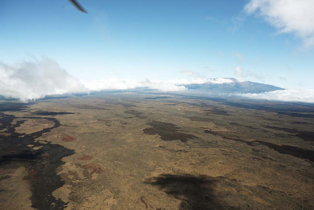 photo,material,free,landscape,picture,stock photo,Creative Commons,Hawaii Island aerial photography, Lava, dead tree, crack in the ground, Desert