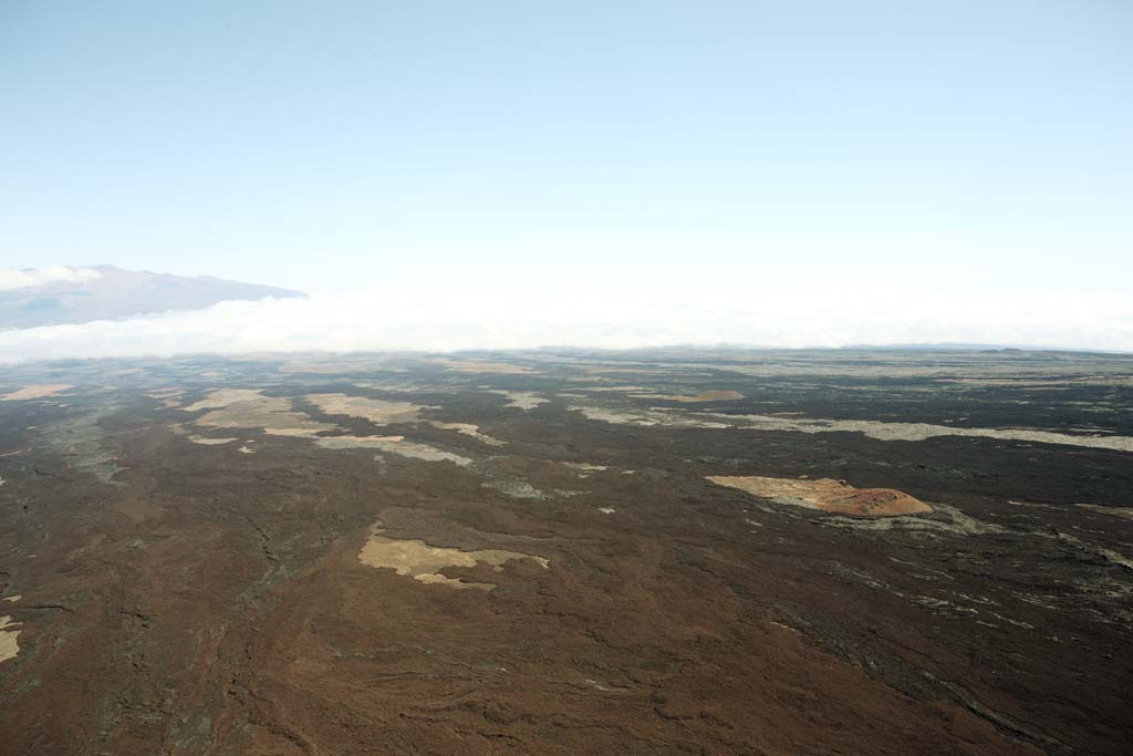 Foto, materieel, vrij, landschap, schilderstuk, bevoorraden foto,Hawaii Eiland luchtfotografie, Lava, Dode boom, Krak in ht gemaald, Woestijn